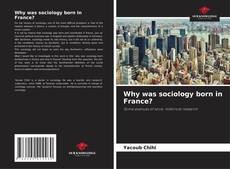 Why was sociology born in France? kitap kapağı