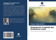 Ökologische Fragilität des Großraums Lomé kitap kapağı