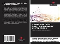Bookcover of PRELIMINARY RISK ANALYSIS AND WORK INSTRUCTIONS: