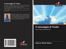Buchcover von Il messaggio di Touba