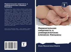 Capa do livro de Перинатальная смертность в университетских клиниках Киншасы 
