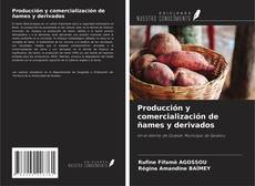 Bookcover of Producción y comercialización de ñames y derivados