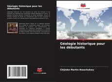 Buchcover von Géologie historique pour les débutants