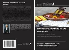 SINOPSIS DEL DERECHO FISCAL EN NIGERIA kitap kapağı