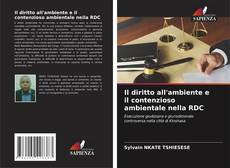 Bookcover of Il diritto all'ambiente e il contenzioso ambientale nella RDC