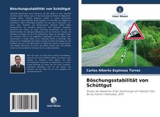 Capa do livro de Böschungsstabilität von Schüttgut 
