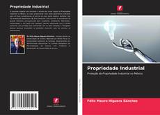 Bookcover of Propriedade Industrial