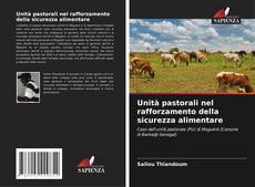 Buchcover von Unità pastorali nel rafforzamento della sicurezza alimentare