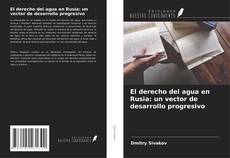 Buchcover von El derecho del agua en Rusia: un vector de desarrollo progresivo