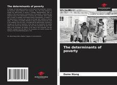 Copertina di The determinants of poverty
