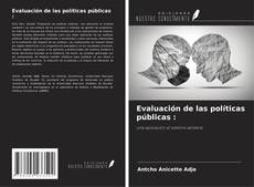 Evaluación de las políticas públicas : kitap kapağı