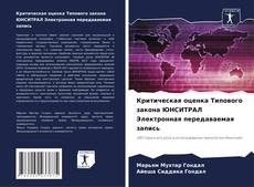 Bookcover of Критическая оценка Типового закона ЮНСИТРАЛ Электронная передаваемая запись