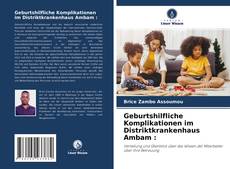 Geburtshilfliche Komplikationen im Distriktkrankenhaus Ambam : kitap kapağı