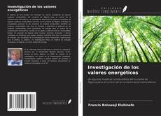 Investigación de los valores energéticos kitap kapağı
