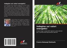 Bookcover of Indagine sui valori energetici