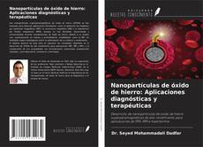 Nanopartículas de óxido de hierro: Aplicaciones diagnósticas y terapéuticas kitap kapağı