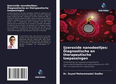 IJzeroxide nanodeeltjes: Diagnostische en therapeutische toepassingen的封面