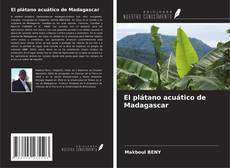 El plátano acuático de Madagascar kitap kapağı