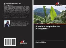 Buchcover von Il banano acquatico del Madagascar