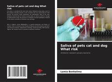 Copertina di Saliva of pets cat and dog What risk