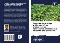 Copertina di Реакция нута (Cicer aritienum L.) на ограниченное количество питательных веществ для растений