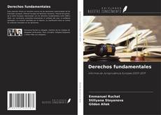 Derechos fundamentales kitap kapağı