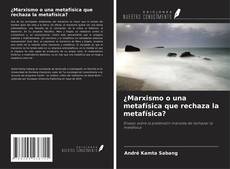 Bookcover of ¿Marxismo o una metafísica que rechaza la metafísica?
