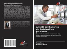 Bookcover of Attività antibatterica del lactobacillus plantarum