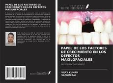 Buchcover von PAPEL DE LOS FACTORES DE CRECIMIENTO EN LOS DEFECTOS MAXILOFACIALES