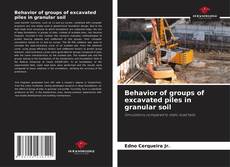 Bookcover of Behavior of groups of excavated piles in granular soil