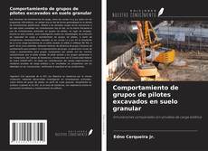 Comportamiento de grupos de pilotes excavados en suelo granular kitap kapağı