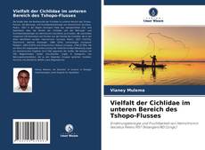 Bookcover of Vielfalt der Cichlidae im unteren Bereich des Tshopo-Flusses