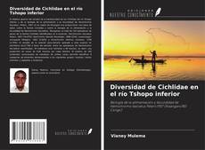 Bookcover of Diversidad de Cichlidae en el río Tshopo inferior
