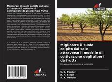 Capa do livro de Migliorare il suolo colpito dal sale attraverso il modello di coltivazione degli alberi da frutta 