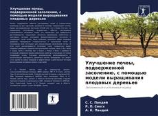 Buchcover von Улучшение почвы, подверженной засолению, с помощью модели выращивания плодовых деревьев