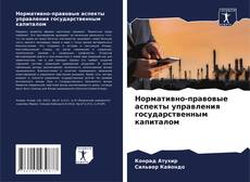 Buchcover von Нормативно-правовые аспекты управления государственным капиталом