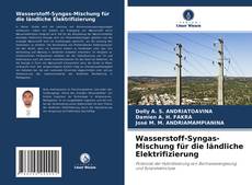 Copertina di Wasserstoff-Syngas-Mischung für die ländliche Elektrifizierung