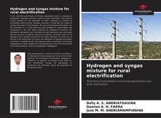 Hydrogen and syngas mixture for rural electrification kitap kapağı