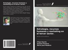 Bookcover of Estrategia, recursos humanos y marketing en el tercer sector.