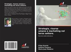 Strategia, risorse umane e marketing nel terzo settore.的封面