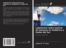 Borítókép a  Legislación sobre justicia de menores en Sudáfrica y Sudán del Sur - hoz