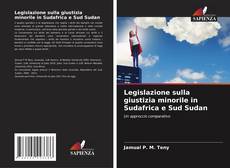 Borítókép a  Legislazione sulla giustizia minorile in Sudafrica e Sud Sudan - hoz