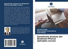 Genetische Analyse der Biodeisel-Pflanze (Jatropha curcas) kitap kapağı