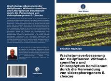 Bookcover of Wachstumsverbesserung der Heilpflanzen Withania somnifera und Chlorophytum borvilianum durch die Verwendung von siderophoregenem E. cloacae