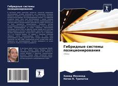 Bookcover of Гибридные системы позиционирования