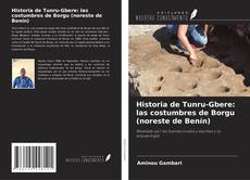 Historia de Tunru-Gbere: las costumbres de Borgu (noreste de Benín) kitap kapağı