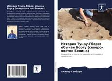 Bookcover of История Тунру-Гбере: обычаи Боргу (северо-восток Бенина)