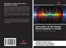 Copertina di Derivation of the Elastic Wave Equation in Solids