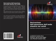 Copertina di Derivazione dell'equazione dell'onda elastica nei solidi
