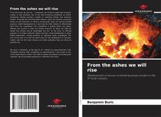 Buchcover von From the ashes we will rise